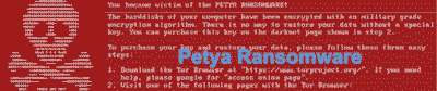 Petya skull image